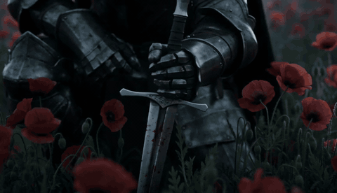 Knight in the Poppies